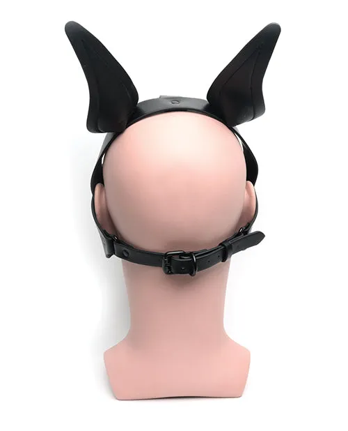 665 Playful Pup Hood Black 665 INC Anal
