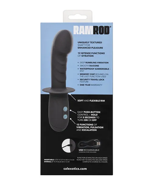 Anal California Exotic Novelties Ramrod Gyrating Anal Probe
