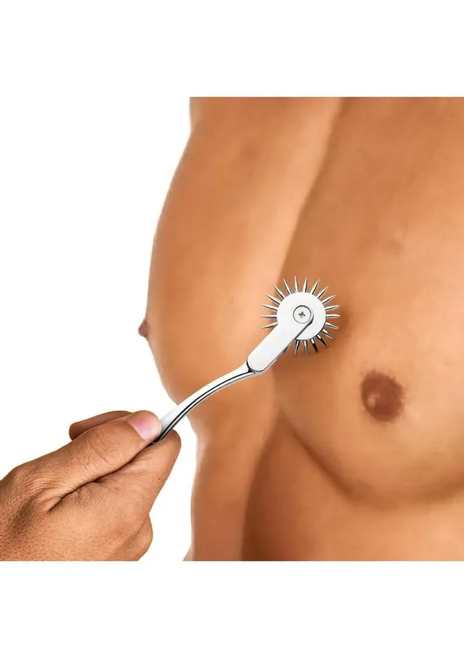 Anal Master Series Master Series Silver Sensation Wartenberg Wheel