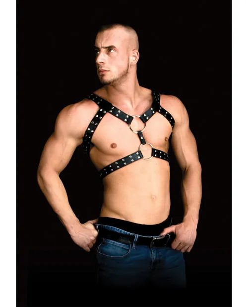 Anal Shots America LLC Andreas Masculine Masterpiece Body Harness Black