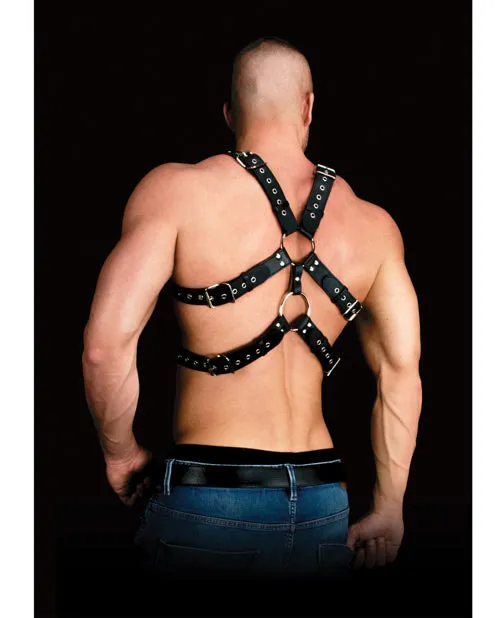 Anal Shots America LLC Andreas Masculine Masterpiece Body Harness Black