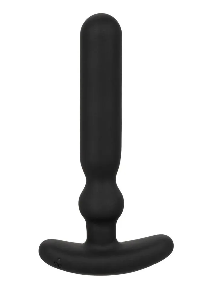 Colt Anal Colt Rechargeable AnalT Silicone Probe