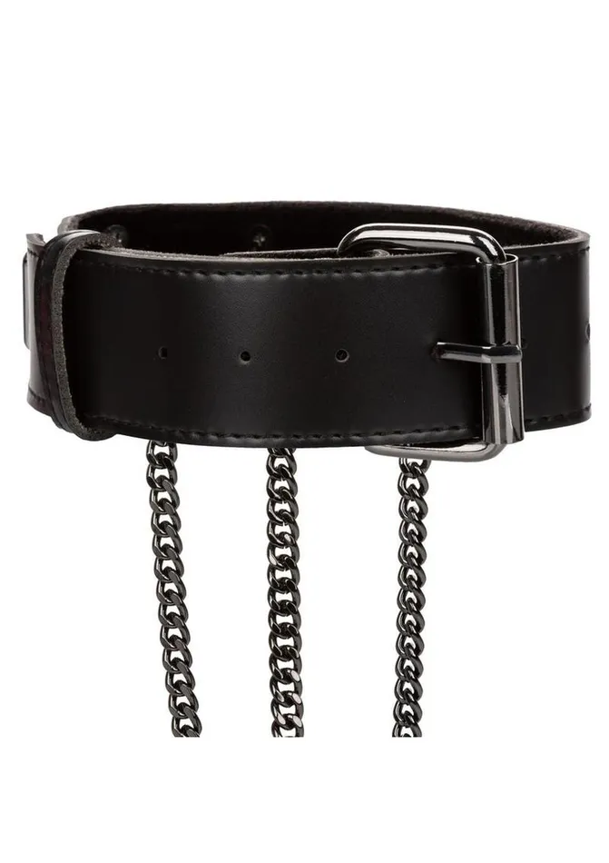 Euphoria Collection Multi Chain Collar Harness Euphoria Vibrators