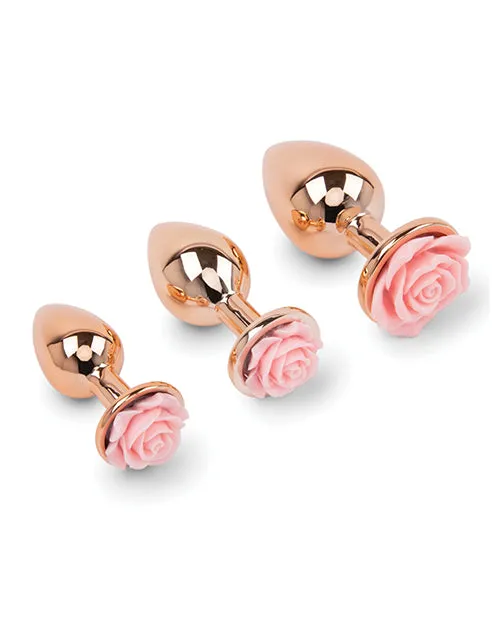 Gemsations Rose Metal Butt Plug Training Kit Rose Gold Electric Eel INC Anal