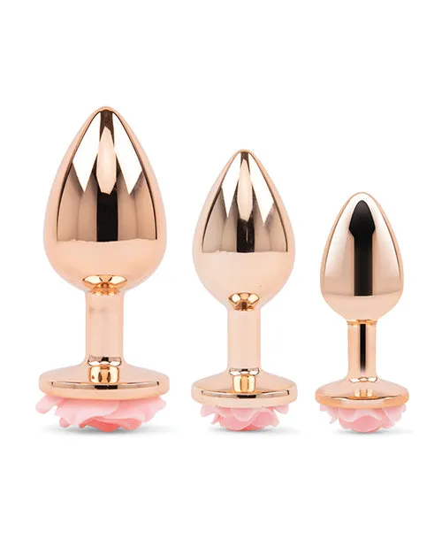 Gemsations Rose Metal Butt Plug Training Kit Rose Gold Electric Eel INC Anal