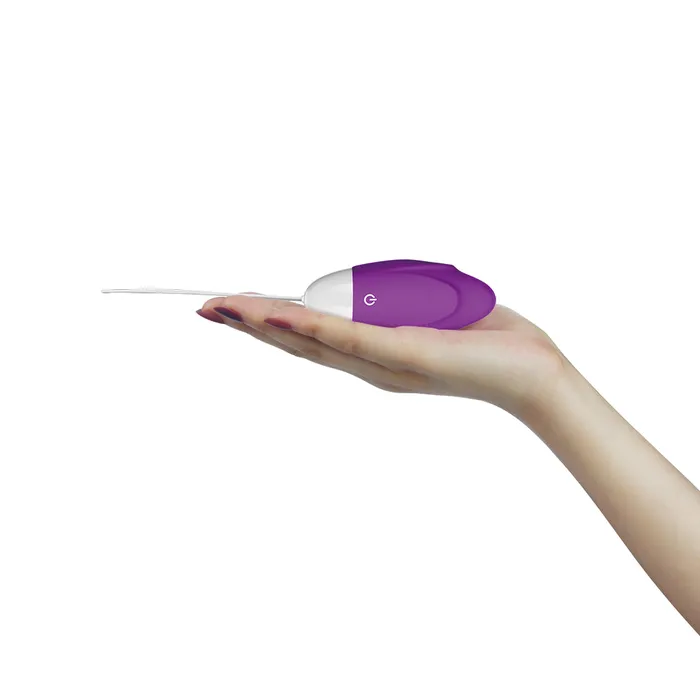 Lovetoy Vibrators Lovetoy Joy Remote Control Egg Purple