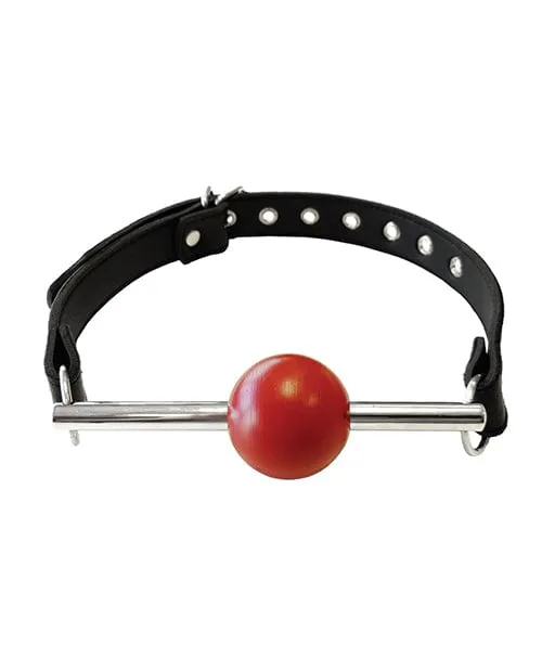 Male Sex Toys Rouge Group Ltd Rouge Leather Ball Gag With Stainless Steel Rod And Removable Ball Black With Red