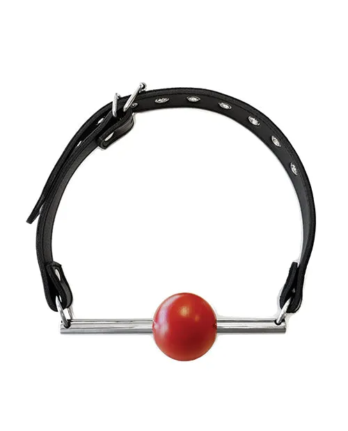 Male Sex Toys Rouge Group Ltd Rouge Leather Ball Gag With Stainless Steel Rod And Removable Ball Black With Red Male Sex Toys Rouge Group Ltd Rouge Leather Ball Gag With Stainless Steel Rod And Removable Ball Black With Red