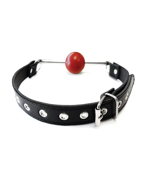 Male Sex Toys Rouge Group Ltd Rouge Leather Ball Gag With Stainless Steel Rod And Removable Ball Black With Red Male Sex Toys Rouge Group Ltd Rouge Leather Ball Gag With Stainless Steel Rod And Removable Ball Black With Red