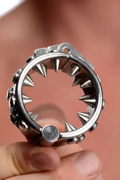 Nice and nasty Bz Male Sex Toys Impaler Locking Cbt Ring With Spikes Nice and nasty Bz Male Sex Toys Impaler Locking Cbt Ring With Spikes