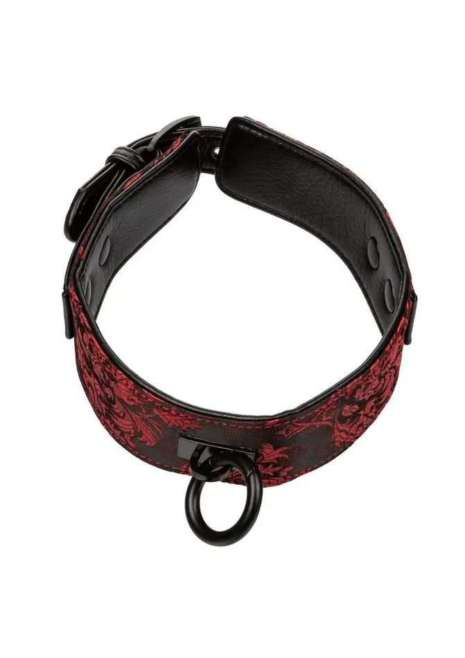 Scandal Male Sex Toys Scandal Collar with Leash Scandal Male Sex Toys Scandal Collar with Leash