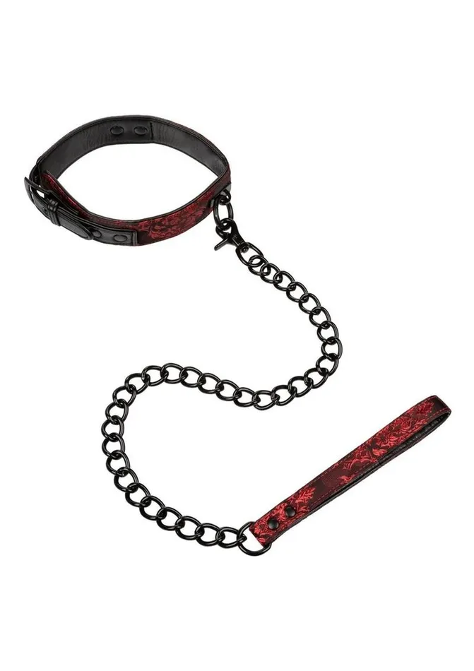 Scandal Male Sex Toys Scandal Collar with Leash Scandal Male Sex Toys Scandal Collar with Leash