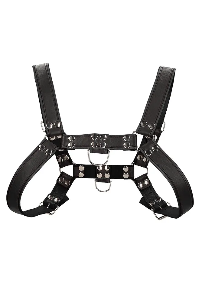 Shots America Chest Bulldog Harness Sm Black Anal