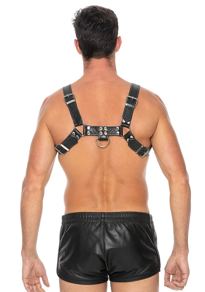 Shots America Chest Bulldog Harness Sm Black Anal