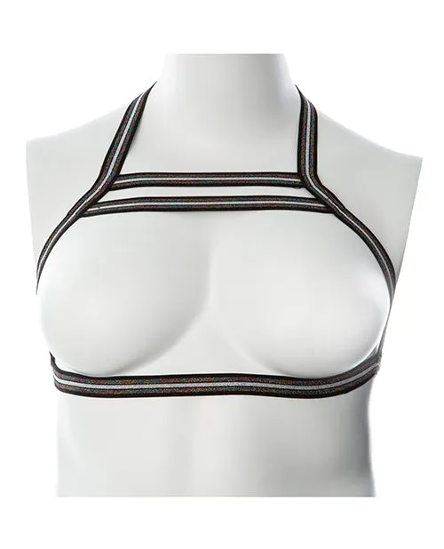 Thank Me Now INC Anal Gender Fluid Silver Lining Harness BlackSilver SL