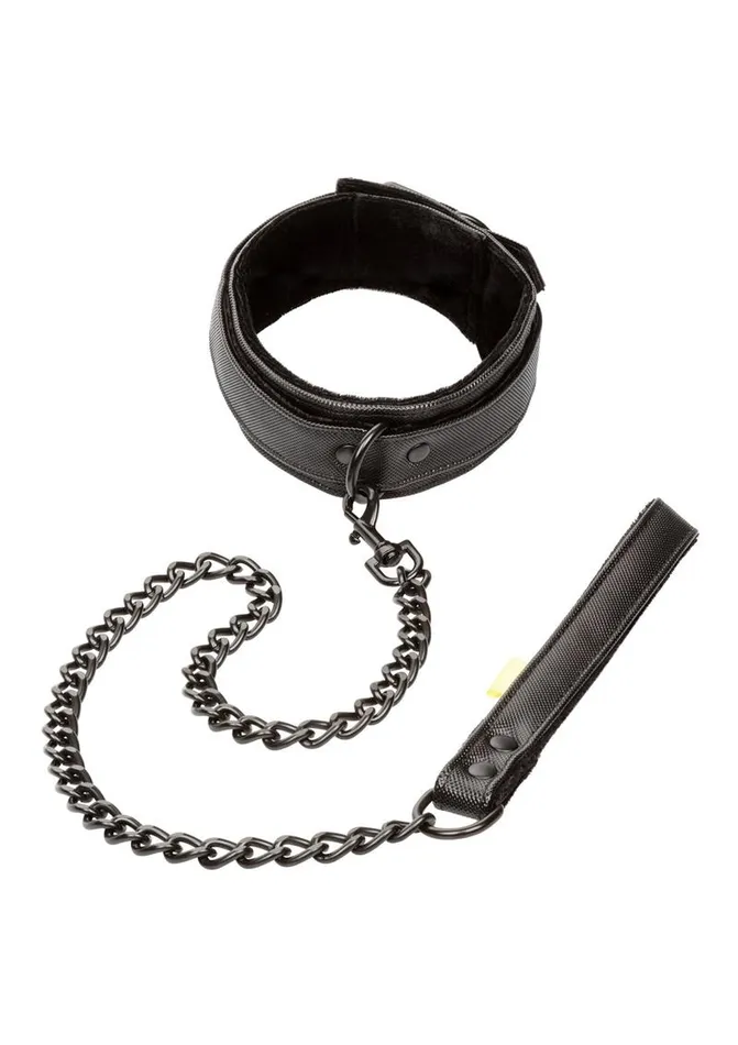 Vibrators Boundless Boundless Collar and Leash