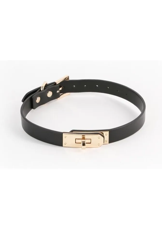 Vibrators Fetish and Fashion Fetish and Fashion Sadie Collar
