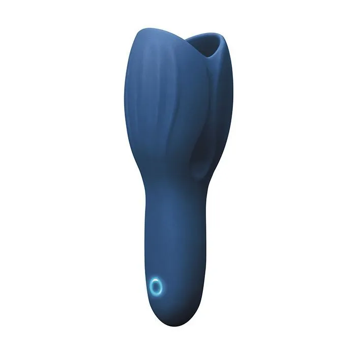 Vibrators Ns Novelties INC Renegade Head Unit Blue